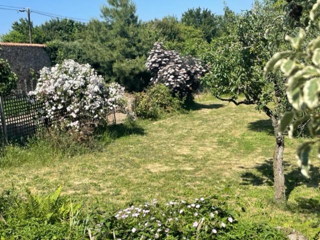 Le Logis Cholet 49300 Lieu Exceptionnel En Famille Ou Amis Mazieres-en-Mauges Exterior foto